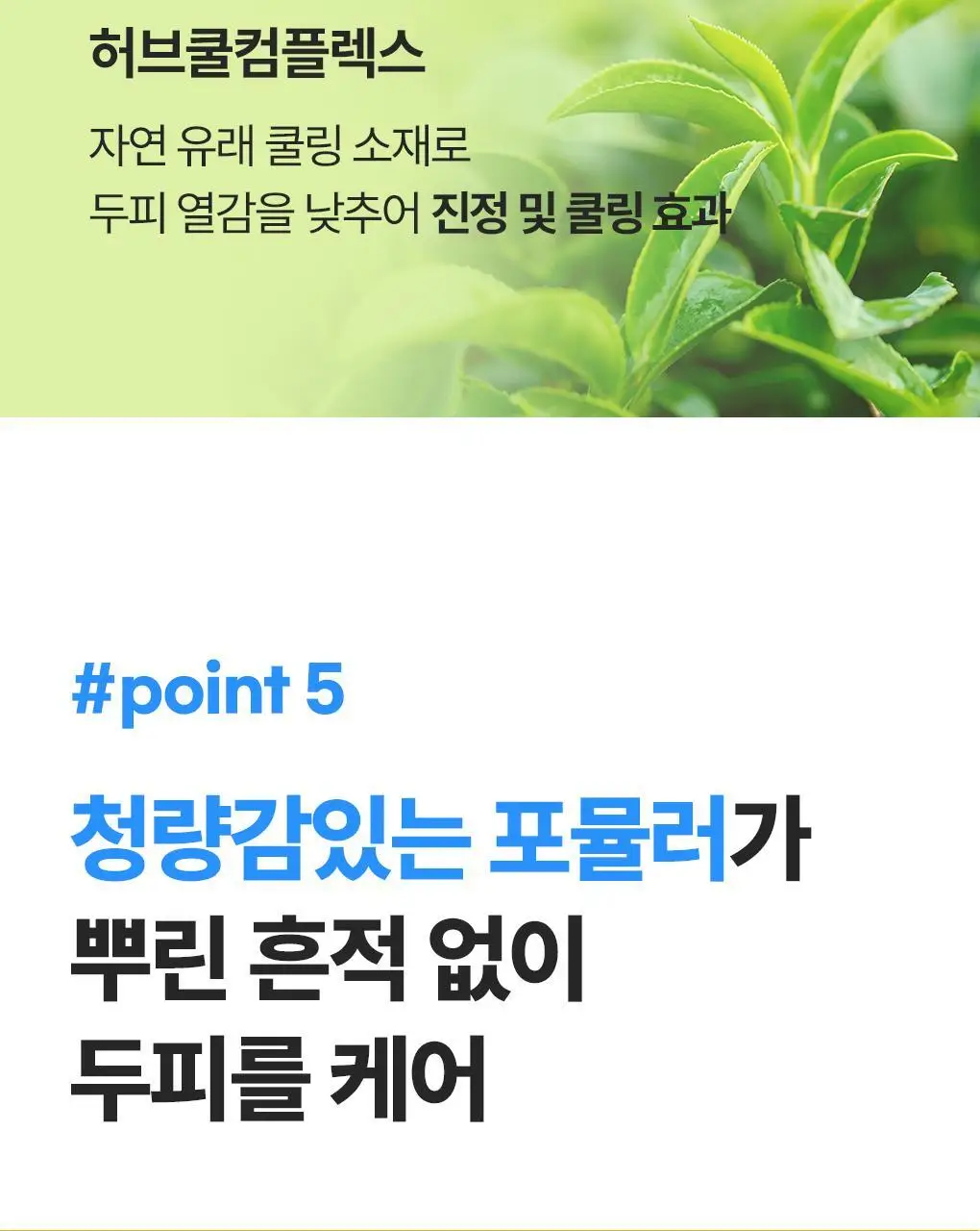 [지현우 PICK] 메디올 두피 케어 에어 세럼 상세페이지 14
